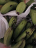 【不打药需催熟】国产高山甜糯香蕉 当季新鲜水果芭蕉整箱青皮果 带箱4.5kg【精品装】 实拍图
