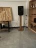 天朗（TANNOY）GOLD天朗音箱gold5 7 8同軸有源監聽(tīng)音箱混音錄音工作室監聽(tīng)音箱 GOLD 8單只【送音頻線(xiàn)+音箱墊】 曬單實(shí)拍圖