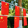 佳妍 國旗串旗國慶節(jié)裝飾 吊旗掛旗小彩旗150面約65米 曬單實拍圖