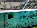 漁樂(lè )極限魚(yú)缸滴流盒免換水過(guò)濾盒滴濾盒儲水過(guò)濾槽上置凈水抽屜培菌過(guò)濾器 【透明6盒】+標準濾材套裝+水泵 曬單實(shí)拍圖