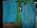 浪花朵朵正版 自然故事（全5輯套裝） 4-8歲 國際插畫大師經典繪本 動物生命故事自然紀錄片 親子閱讀自然科普啟蒙 后浪童書 曬單實拍圖