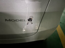 YZ適用于特斯拉ModelY汽車(chē)背帶丫貼紙后車(chē)尾個(gè)性創(chuàng  )意車(chē)貼丫配件 ModelY創(chuàng  )意個(gè)性背帶褲貼紙反光黑 曬單實(shí)拍圖