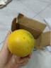 晨木鮮生云南冰糖橙 手剝甜橙水果 新鮮應季青皮橙子鮮果 1斤中果 曬單實(shí)拍圖