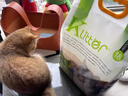 K LITTER酷親豆腐貓砂木薯綠茶水蜜桃活性炭貓砂 可沖馬桶 【2.0顆?！吭?.8kg*3 曬單實拍圖