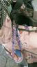 嘟嘟棒（duduborn）電動(dòng)車(chē)掛鉤前置通用 電瓶車(chē)摩托車(chē)電車(chē)把手掛物扣鉤子外賣(mài)神器勾 30公斤級(jí)旋轉(zhuǎn)賽鋼掛鉤 1 只裝 曬單實(shí)拍圖