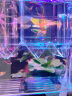HANYANG孔雀鱼繁殖盒大号鱼缸隔离盒幼小鱼苗孵化产房漂悬浮分离器养鱼用 实拍图