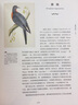 鳥(niǎo)類(lèi)發(fā)現之旅 中國攝影出版社 (英)馬克·艾弗里(Mark Avery) 著(zhù)；徐凱杰,張建軍 譯 精裝 書(shū)籍 曬單實(shí)拍圖