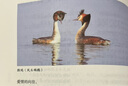 聆聽(tīng)萬(wàn)物的歌唱：《詩(shī)經(jīng)·國(guó)風(fēng)》講讀 曬單實(shí)拍圖
