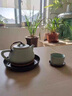 私朹堂 汝窯茶壺陶瓷功夫茶過(guò)濾單壺茶具金絲開(kāi)片可養汝瓷青瓷套裝大號 古典壺 曬單實(shí)拍圖