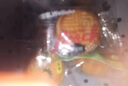 味留客迷你多口味水果味月餅廣式糕點(diǎn)點(diǎn)心零食散裝中秋單獨(dú)包裝茶餅鳳梨 香橙味月餅2斤 曬單實(shí)拍圖
