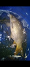 綠一交直流氧氣機家用充電氧氣泵戶(hù)外釣魚(yú)增氧泵賣(mài)魚(yú)氧氣泵魚(yú)缸充氧泵 鋰電雙核35W-6孔 智能數顯(40斤魚(yú)) 曬單實(shí)拍圖