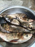 白鯊花籃餌浮釣鰱鳙餌料水怪釣籠釣組套裝大頭魚(yú)鰱魚(yú)野釣配方魚(yú)料 花籃餌酸臭味 曬單實(shí)拍圖