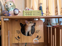 蒂樂(lè )森貓籠子家用貓舍史室內超大自由空間貓屋貓柜三層豪華木貓窩貓別墅 原木色120*60*60【升級無(wú)框】 師傅上門(mén)安裝+送貨上門(mén) 曬單實(shí)拍圖