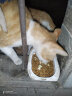 美滋元成猫猫粮 三文鱼味成猫粮全猫咪通用天然粮全价猫粮 三文鱼 成猫粮2.5kg 实拍图