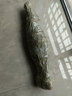 黛陌塔柏樹(shù)苗柏苗松柏樹(shù)苗掃墓墓地松樹(shù)苗柏樹(shù)苗四季長(cháng)青工程綠化苗木 80-1米高 壯苗 曬單實(shí)拍圖