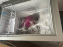 海尔（Haier）200升低霜家用商用冷藏柜冷冻柜小冰柜小型冷柜小冰箱海尔冰柜BC/BD-200GHCD以旧换新 实拍图