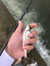 DAIWA達億瓦 2019新款 BASS X Y 路亞竿 路亞釣魚(yú)竿碳素 路亞遠投釣竿 釣竿 漁竿 662LS.Y（1.98米軟調直柄） 曬單實(shí)拍圖