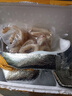 魷魚圈現(xiàn)切速凍魷魚圈墨魚圈魷魚八爪魚段燒烤火鍋油炸冷凍 精選魷魚圈【1斤裝】 曬單實拍圖