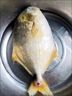 順豐 新鮮金鯧魚(yú)新鮮海捕平魚(yú)鮮凍鯧魚(yú)海魚(yú) 1條裝【約8兩/條】 新鮮金鯧魚(yú)帶冰10% 曬單實(shí)拍圖