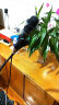 贝音凯 V20主播唱歌声卡套装电容麦外置手机电脑通用全民K歌抖音带货户外直播支架麦克风专业直播设备 V20声卡U87大振膜套装（网红直播） 实拍图