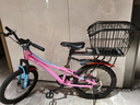 迪路仕（DEROACE）自行車(chē)后車(chē)筐山地車(chē)籃兒童折疊車(chē)后置籃子單車(chē)電動(dòng)車(chē)后籃加大車(chē)簍 貨架+帶蓋款后車(chē)筐 曬單實(shí)拍圖