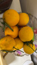 迭果平遠臍橙廣東梅州正宗甜橙紅黃臍橙新鮮應季水果帶箱 5斤帶箱普通裝 曬單實(shí)拍圖