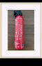 閃撲 車(chē)載滅火器水基滅火器21B車(chē)家用滅火器安全錘便攜3C認證消防器材 曬單實(shí)拍圖