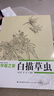初學(xué)者之友：白描草蟲 曬單實(shí)拍圖