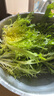 有機(jī)蔬菜沙拉套餐 有機(jī)沙拉菜生食健康新鮮有機(jī)蔬菜輕食餐1.5kg 沙拉套餐 1.5kg 曬單實(shí)拍圖