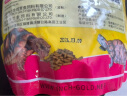 寸金（INCH-GOLD）乌龟粮龟粮乌龟饲料巴西龟猪鼻龟食水龟养龟专用龟饲料陆虾干通用 500g大颗粒*1包 晒单实拍图