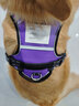 MOEPIE【贈5米狗繩】大狗胸背帶拉布拉多羅威納大型犬狗狗背帶2025 紫色+5米狗繩+發(fā)光吊墜 XL碼胸圍68-93cm 曬單實(shí)拍圖