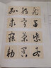 經(jīng)典碑帖筆法臨析教程：唐 懷素 小草千字文（洪亮主編） 曬單實拍圖