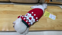 嬉皮狗（hipidog）寵物秋冬季新春圣誕小熊套頭毛衣小型犬保暖針織衫圣誕節貓咪衣服 德羅紅 M建議體重5-8斤 曬單實(shí)拍圖