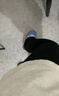 Tcellars德訓(xùn)鞋男春夏新款男鞋經(jīng)典板鞋男厚底低幫透氣女鞋運(yùn)動(dòng)休閑鞋子男 云霧藍(lán)【熱賣款】 41 曬單實(shí)拍圖