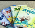 森林报（全4册）以春、夏、秋、冬为顺序叙述了发生在森林里儿童喜爱的故事适合4-12岁科普百科书 实拍图