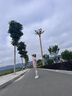 萊菲羽跑步運動套裝女2024新款夏季速干健身衣晨跑羽毛球瑜伽服短褲T恤 套裝粉色+粉色 L 曬單實拍圖