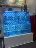 藍璟海鮮缸商用貝類(lèi)池酒店飯店超市賣(mài)魚(yú)大閘蟹魚(yú)缸水產(chǎn)養殖魚(yú)缸移動(dòng)式 設計定制和配置款 曬單實(shí)拍圖
