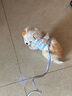 卡通猴狗狗牽引繩背心式遛狗繩溜狗鏈子小型犬泰迪博美網(wǎng)紅寵物用品大全 藍(lán)色玉桂狗 小號(hào)-（建議體重3-5斤） 曬單實(shí)拍圖