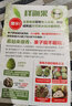 良知農(nóng)哥【順豐】廣東潮汕本地林檎番果 釋迦果新鮮佛頭果 牛奶大目釋迦 2斤 約4-5個(gè) 曬單實(shí)拍圖