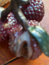 容山堂變色荔枝茶寵物茶盤(pán)擺件家用可養趣味功夫茶具配件 變色樹(shù)脂茶寵擺件-大吉大荔 曬單實(shí)拍圖