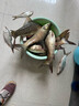 達(dá)摩 魚(yú)竿桿新款釣魚(yú)竿輕硬手竿鯉魚(yú)竿碳素綜合臺(tái)釣竿攻 攻3.6米+禮包 曬單實(shí)拍圖