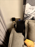三星（SAMSUNG）HW-Q930D/930F 9.1.4杜比全景聲 DTS-X回音壁 家庭影院 無(wú)線(xiàn)環(huán)繞 電視音響 Q930D+支架 曬單實(shí)拍圖