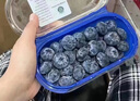 兄盟鮮果澳洲品種鉆石藍莓當季限量22+藍莓王巨無霸新鮮藍梅鮮果 鉆石藍莓1盒裝 曬單實拍圖