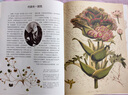 植物大發(fā)現(xiàn) 黃金時(shí)代的圖譜藝術(shù)（異步圖書出品） 曬單實(shí)拍圖