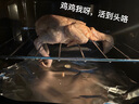 對面小城【三黃雞4只裝】散養土雞童子雞新鮮雞肉整只裝700g/只 曬單實(shí)拍圖