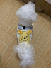 MIKI PAD狗狗衣服小型犬春秋款貓咪衣服四腳衣可牽引小狗衣服泰迪比熊 黃色小熊背帶褲 XL背長40cm（參考體重11-15斤） 曬單實拍圖