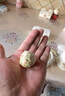 龍璽韻正宗高檔茶葉禮盒裝新會(huì )小青柑普洱茶云南特級茶葉過(guò)節送禮長(cháng)輩 山如畫(huà)禮盒 曬單實(shí)拍圖