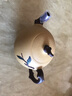 尊壺 宜興紫砂壺手工茶具泡茶壺工藝美術(shù)師蔣靜明秋意壺收藏泡茶器 蔣靜明 泥繪秋意壺 段泥 225ml 曬單實(shí)拍圖