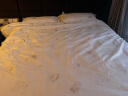 四万公里一次性床单三件套单人加厚被罩枕套旅行火车卧铺隔脏床上用品套装 实拍图