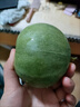 京鮮氣正宗綠寶甜瓜 綠寶石香瓜東北當(dāng)季新鮮水果綠皮甜瓜整箱禮盒 甄選優(yōu)+3斤【實惠無禮盒】 曬單實拍圖